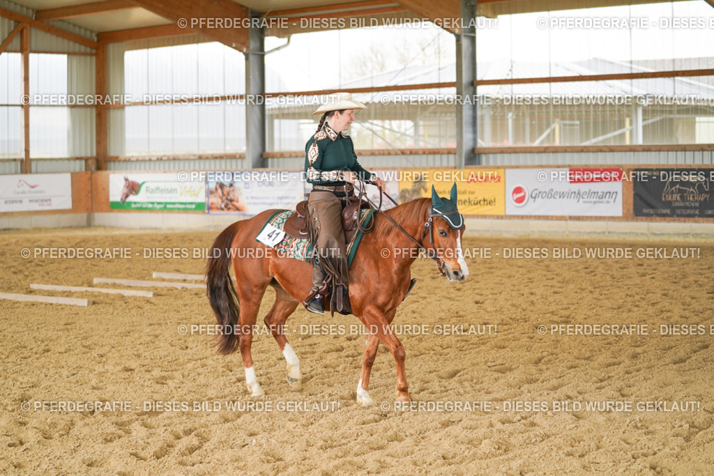 DSC03798 | Pferdegrafie