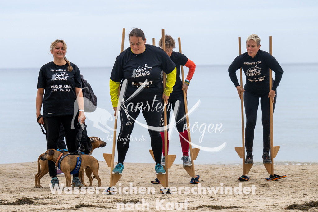 1258_ZZ93154 | kk-dogfotos