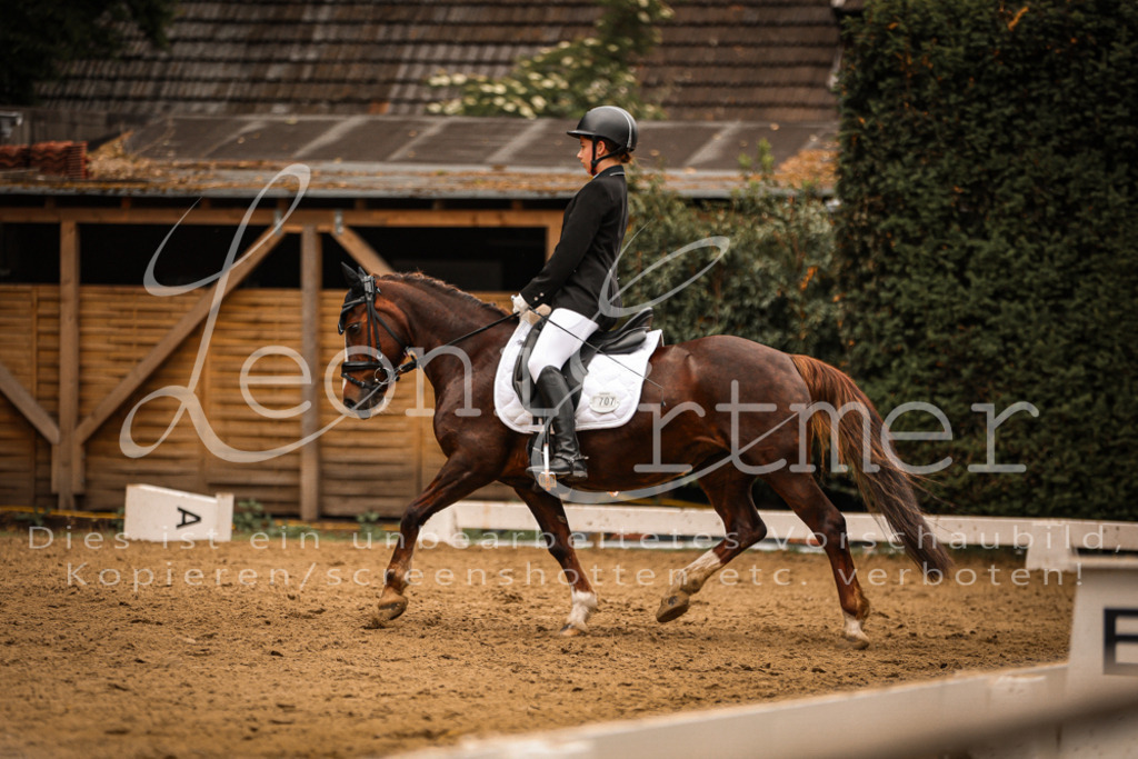 DoDrE00243 | Leoni Ertmer Photography - Realisiert mit Pictrs.com