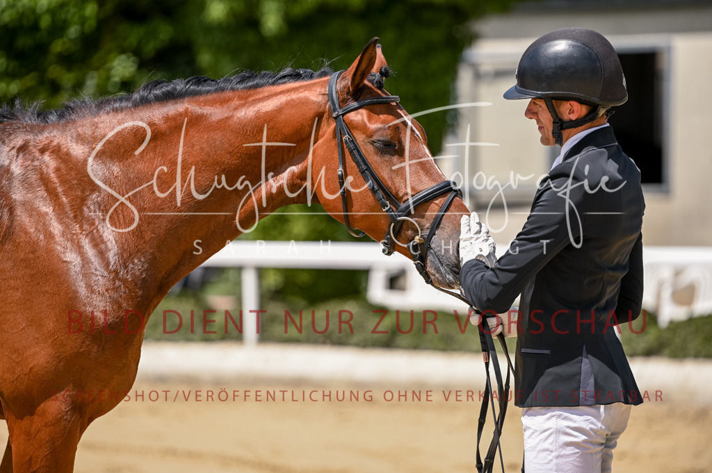 Schugtsche-Aluta25-48.Reitpferfdeprf.-252 | Schugtsche Fotografie - Realisiert mit Pictrs.com