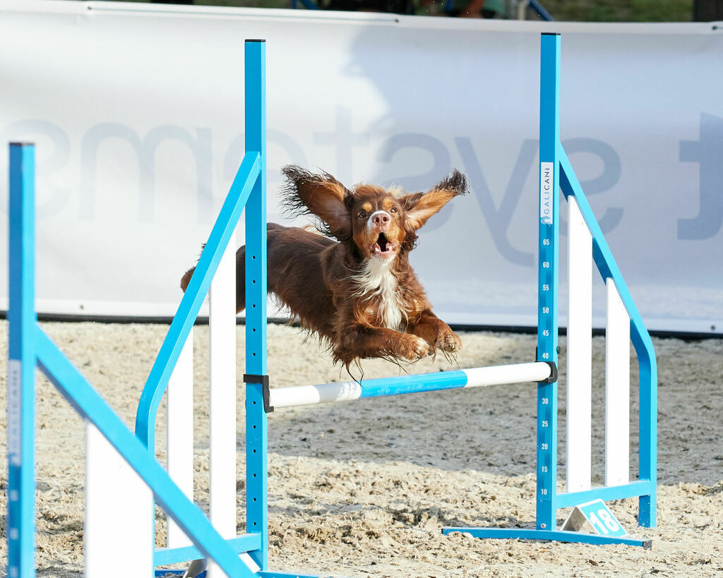 580B0029 | Peter Fridle Fotografie - Realisiert mit Pictrs.com