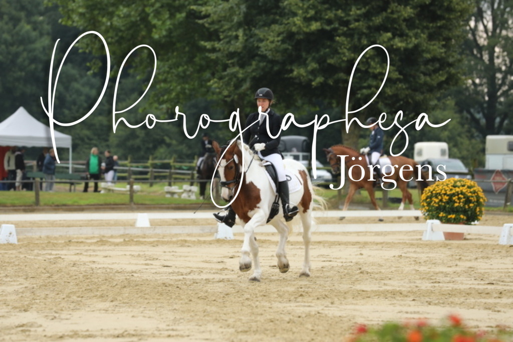 IMG_5336 | photographesa-joergens - Realisiert mit Pictrs.com