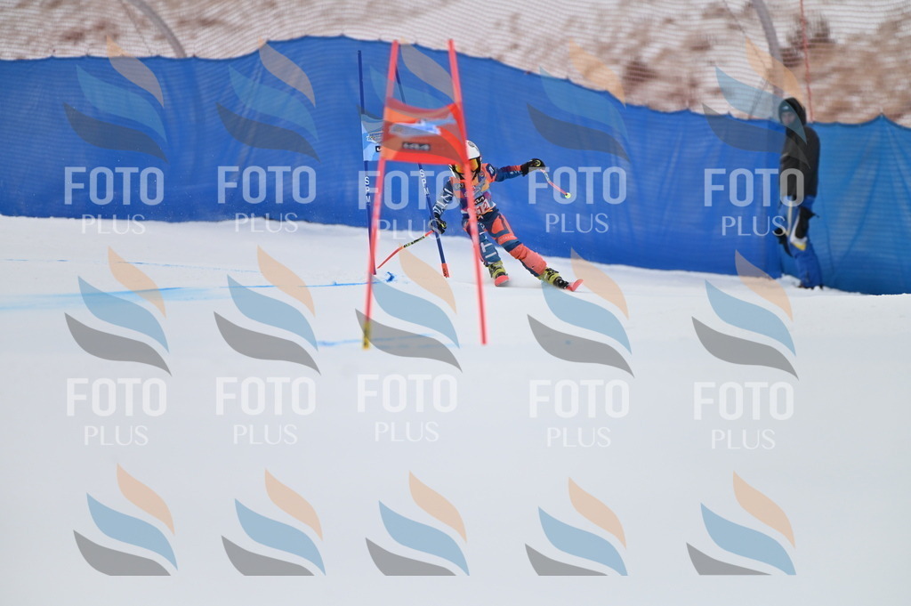 BGV_2487 | holidayphoto