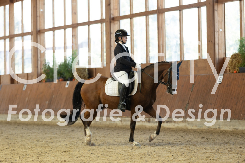 IMG_0180 | Creatify Fotografie