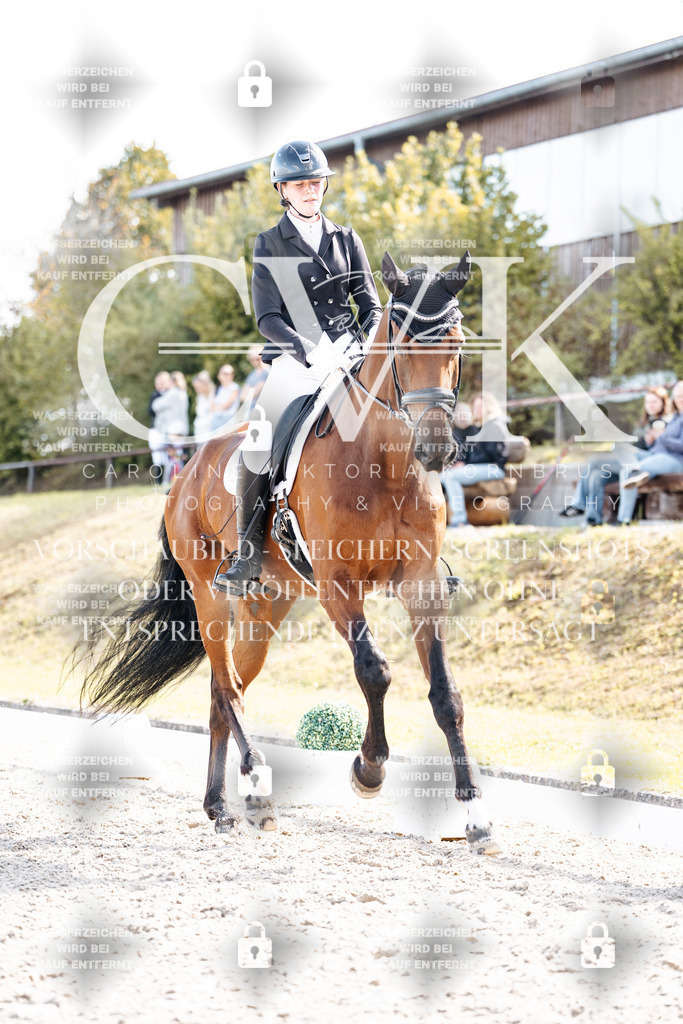 CK902394 | Turnierfotografie Pferdefotografie Trier Rheinland-Pfalz Pferdesport Reitsport Tierfotografie Sportfotografie Pferdevideo Pferdevideografie Equestrianvideography equestrianphotography  - Realisiert mit Pictrs.com
