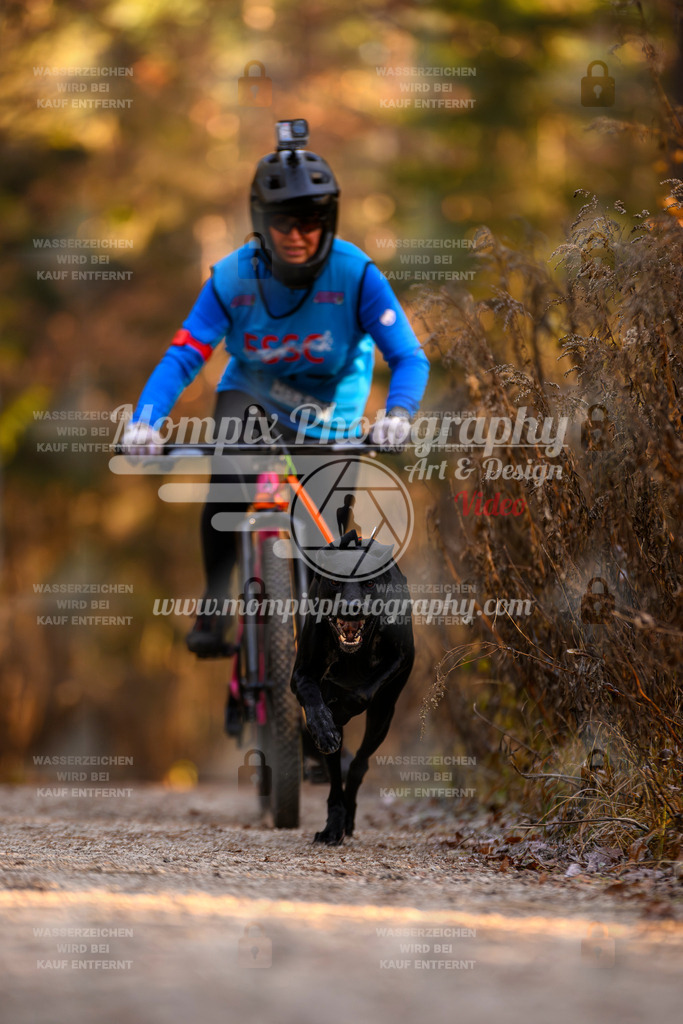 MompixPhotography_DM_AKDM_SO_2025_Bike-108 | PayLife