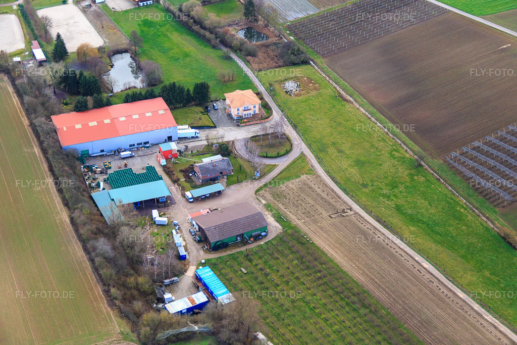Luftbild: Obsthof Zirker KG in Herxheim bei Landau im Bundesland Rheinland-Pfalz in Deutschland. Foto: IMG_085649.jpg vom 08.01.2016 durch Werner Riehm/FLY-FOTO.deWWW.FRUITFARMER.DE