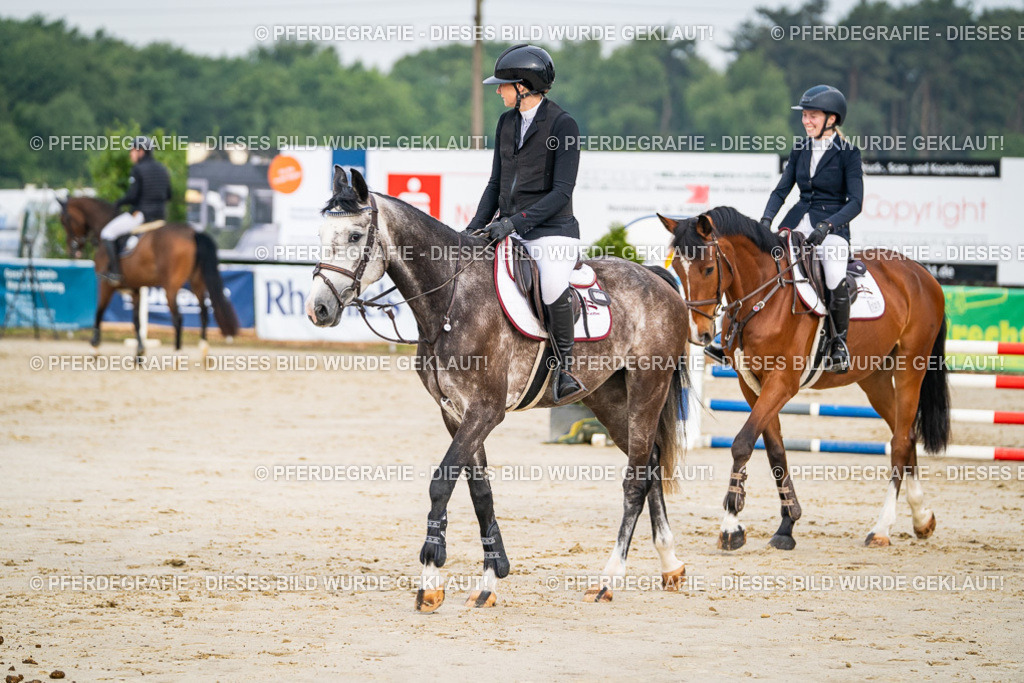 DSC08402 | Pferdegrafie