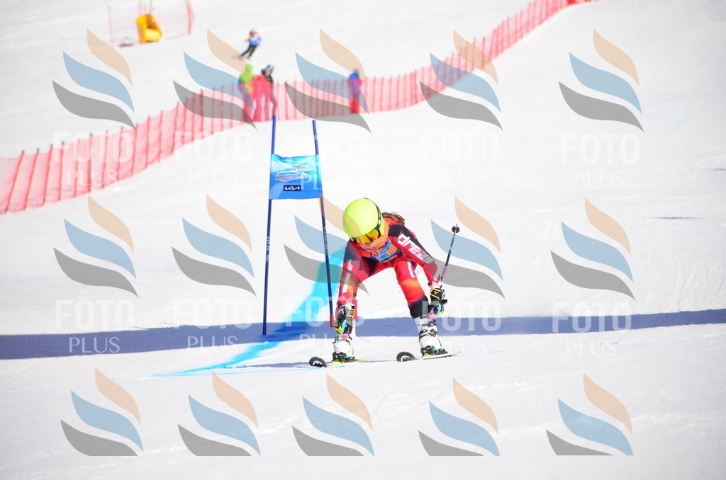 VR4_8678 | holidayphoto