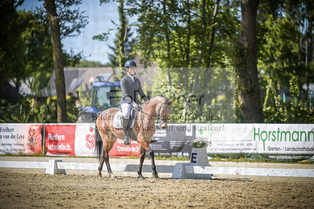 DOS_1906 | Entdecke hochwertige Reitturnierfotos von Foto Oger. Professionell, emotional und authentisch – jetzt Lieblingsmomente im Shop bestellen.Deutschlandweite Turnierfotografie. - Realisiert mit Pictrs.com