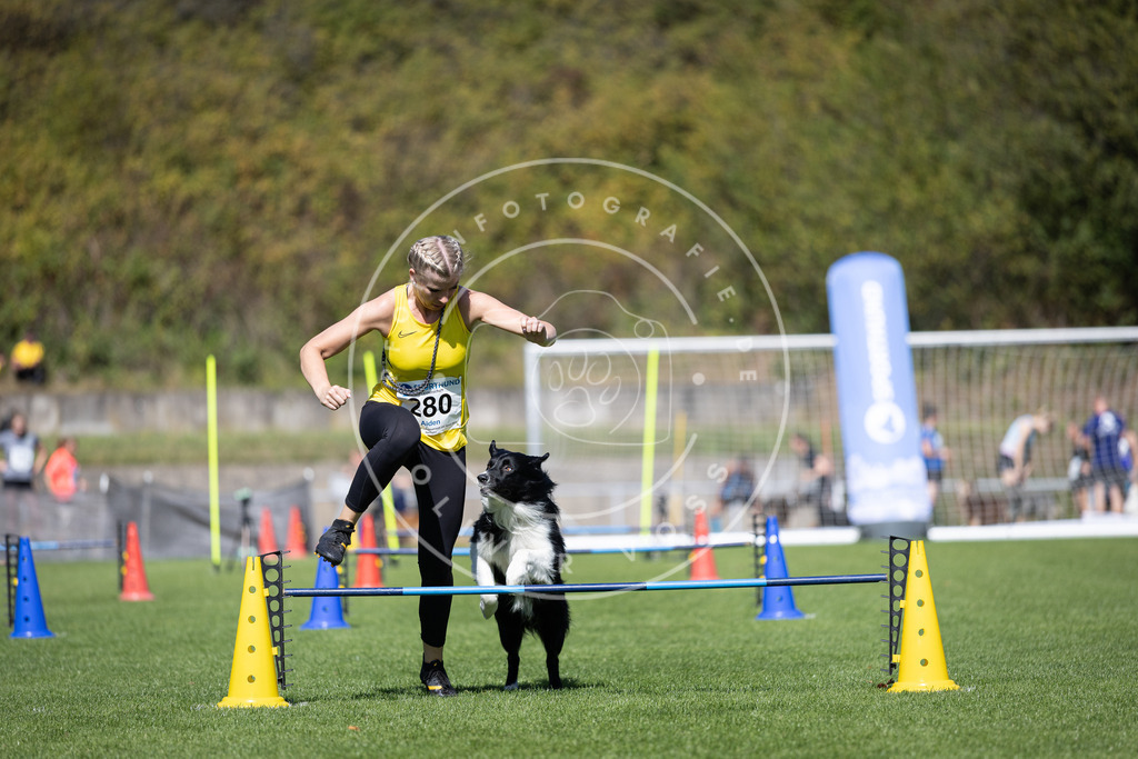 Pfotenfotografie_DV3A7067 | Hundefotografie, Tierfotograf, Pfotenfotografie, Fotoshooting Hund, Hunde Portrait, Hundesport, Hundeportraits, Heideshooting, Hunde, Sportfotograf, Hundefotograf, Turnierhundsport, THS,  - Realisiert mit Pictrs.com