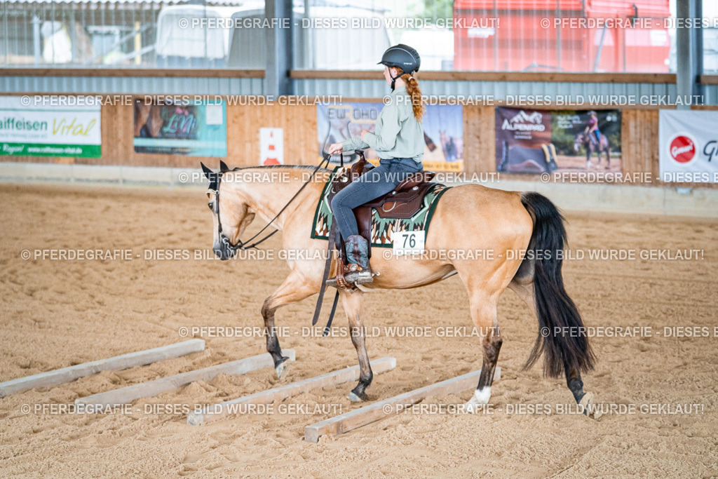 DSC09657 | Pferdegrafie