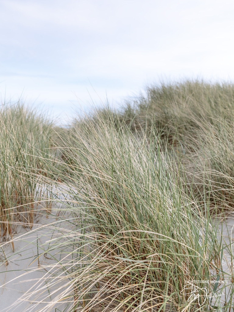 20240504-180327 NORDSEE SPO _086-1 | Herzlich willkommen auf meiner Seite! Ich bin Elke Wallnisch, Deine Fotografin für lichtstarke Momente. Der Name steht für alles, was mich mit der Fotografie verbindet: Das Licht und seine machtvolle Wirkung auf eine Situation oder unsere Stimmung - Realisiert mit Pictrs.com