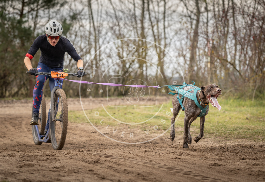 Pfotenfotografie_DV3A9265 | Hundefotografie, Tierfotograf, Pfotenfotografie, Fotoshooting Hund, Hunde Portrait, Hundesport, Hundeportraits, Heideshooting, Hunde, Sportfotograf, Hundefotograf, Turnierhundsport, THS,  - Realisiert mit Pictrs.com
