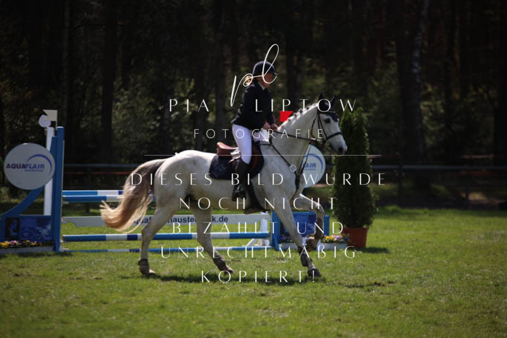 IMGT5483 | pl-fotografie