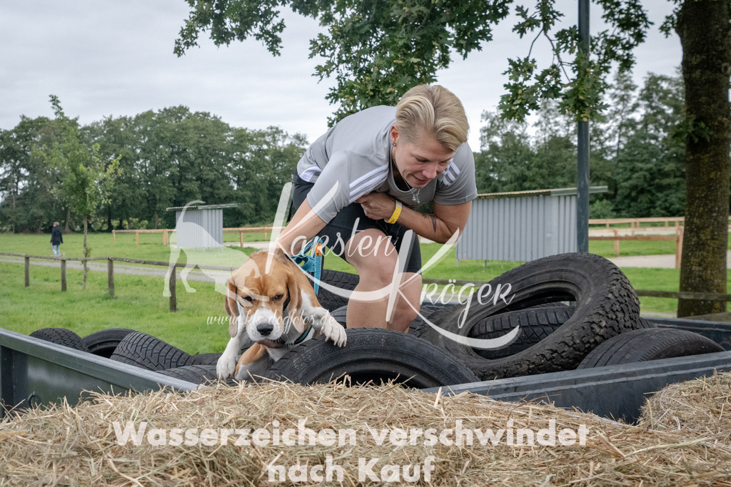 _ZZ91988 | kk-dogfotos