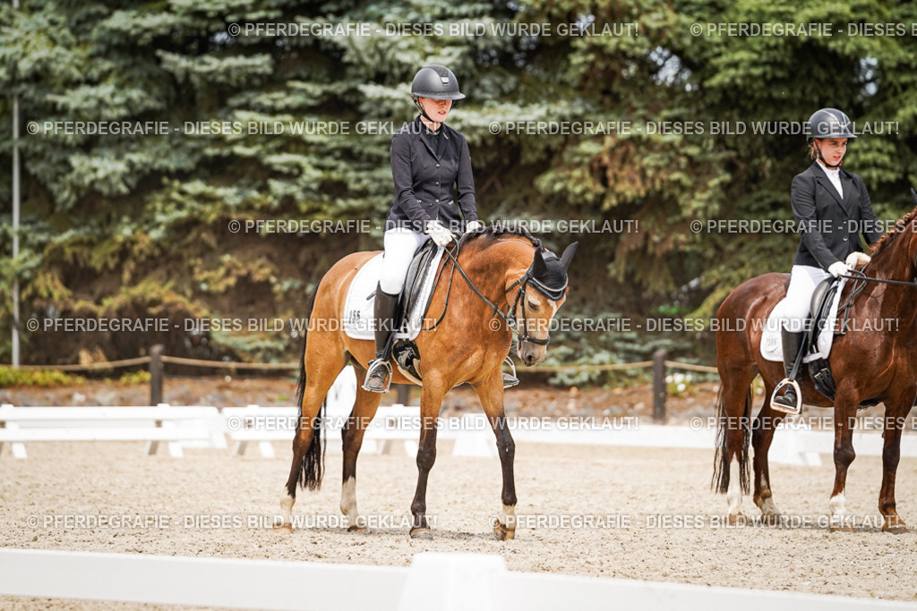 DSC04345 | Pferdegrafie