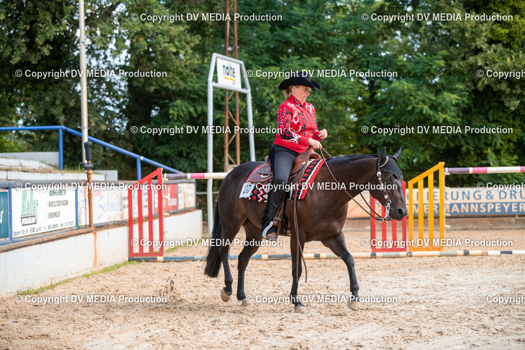 ZS3_9231 | dv-media-shop - Realisiert mit Pictrs.com