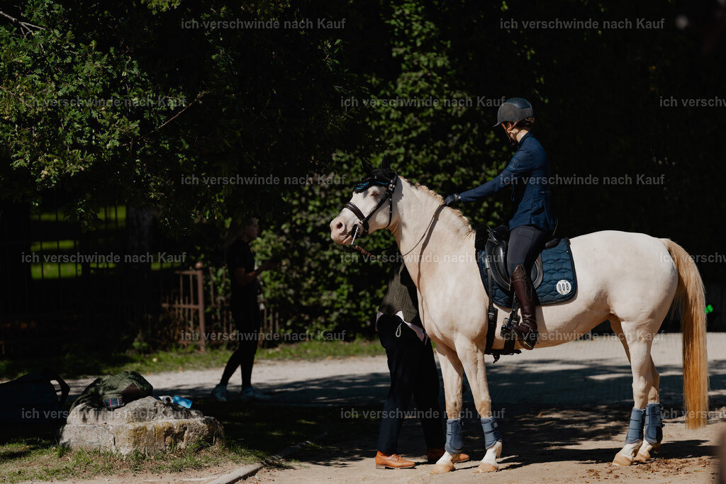 Nici11_FHC2025-08497 | working equitationturnier fotograf videograf stoibphotography marixx film working equitation deutschland reitsport turnierfotografie eventfotografie equestrian events