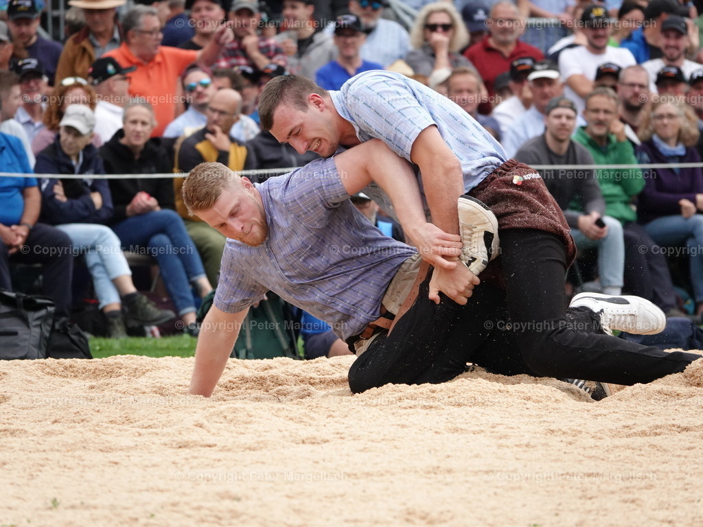 DSC08387 | Schwingen - Realized with Pictrs.com