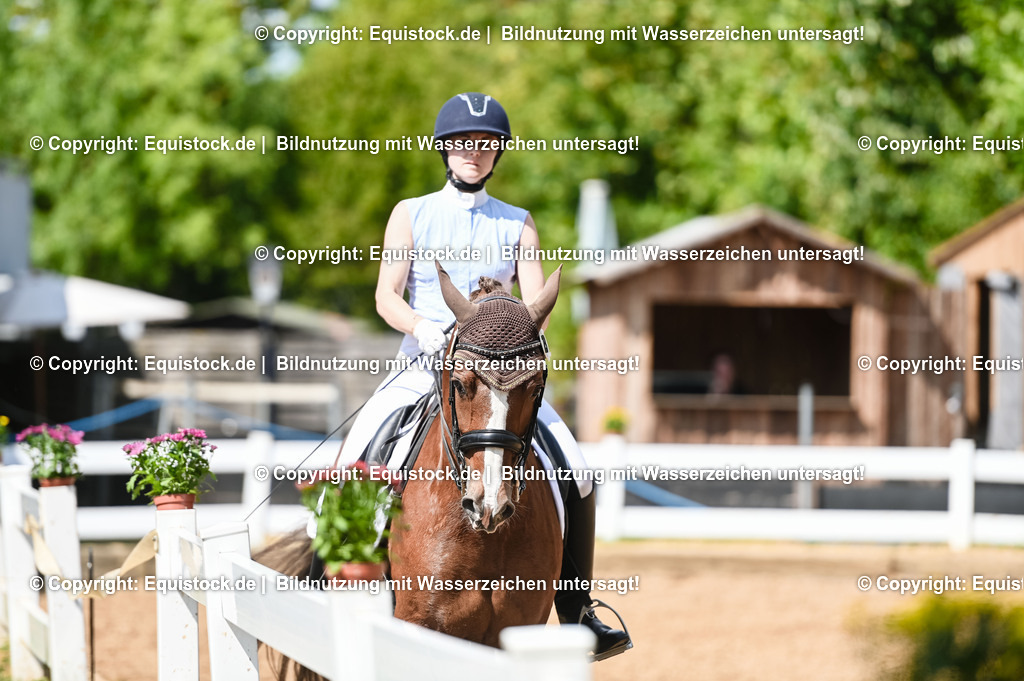 20230716_01_Dressurprüfung Kl.M_0243 | equistock
