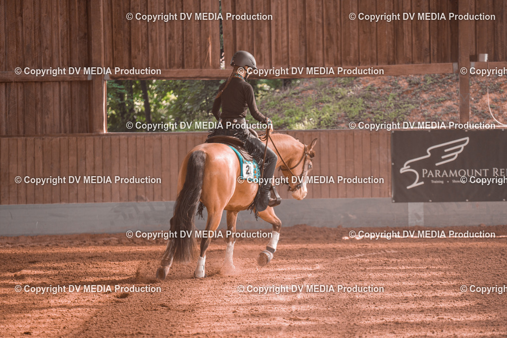 NE201107 | dv-media-shop - Realisiert mit Pictrs.com