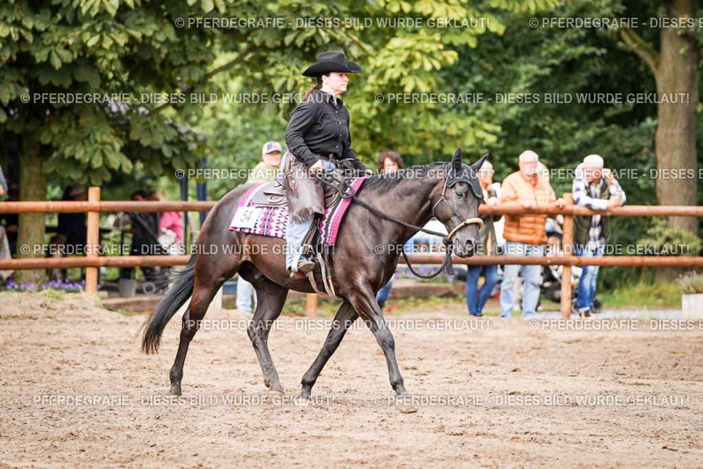 DSC06948 | Pferdegrafie