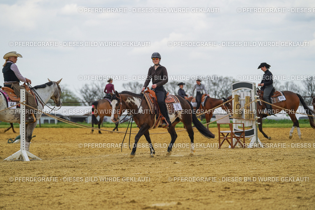 DSC06408 | Pferdegrafie