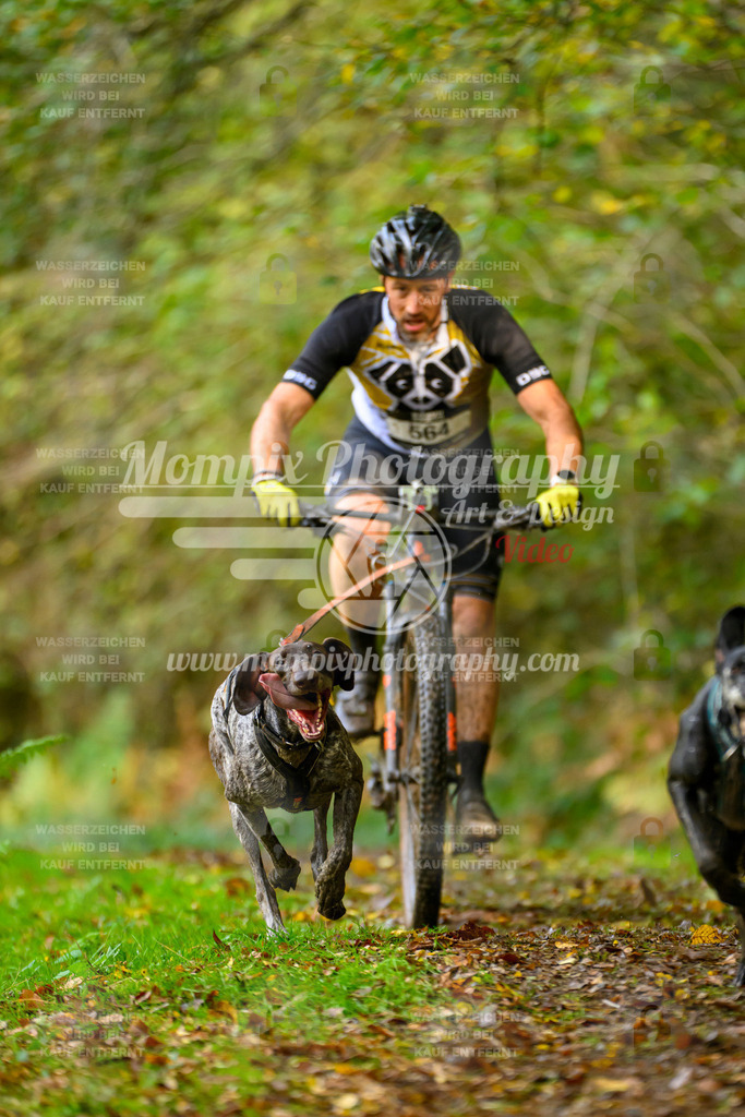 MompixPhotography_20TSB_E1_Bike-56 | PayLife