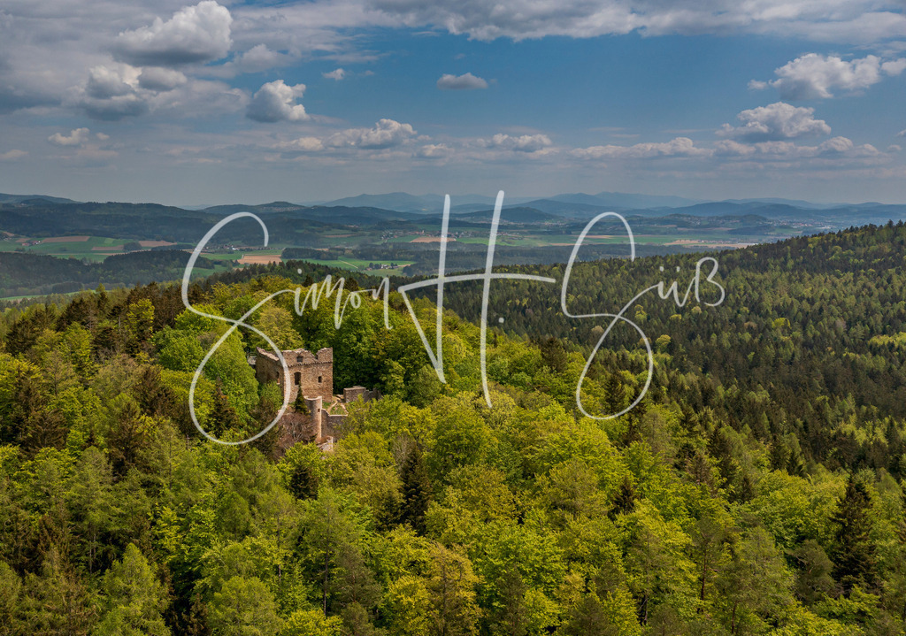 Burgruine Kürnberg | simonsuess - Realisiert mit Pictrs.com