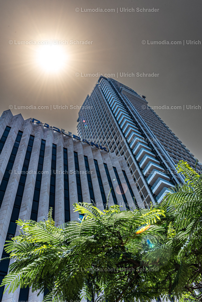 10972-10178 - Tel Aviv - Rothschild Boulevard | Stockfoto und Bilderpool mit Bildmaterial aus Deutschland, dem Harz, Halberstadt, Quedlinburg, Wernigerode und weltweit. Qualitativ hochwertige und professionelle Fotos anschauen und kaufen. - Realisiert mit Pictrs.com
