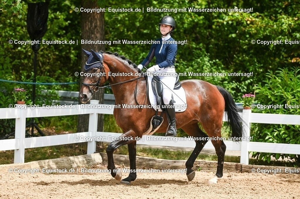 20230716_03_Dressurprfg. Kl.L - Tr._0252 | equistock