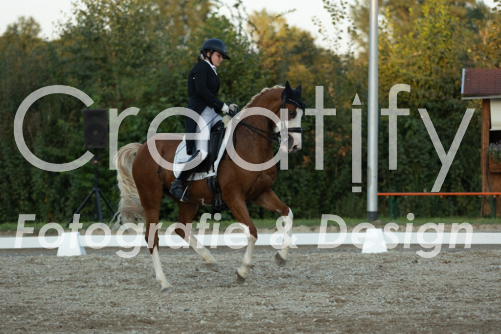 IMG_7648 | Creatify Fotografie