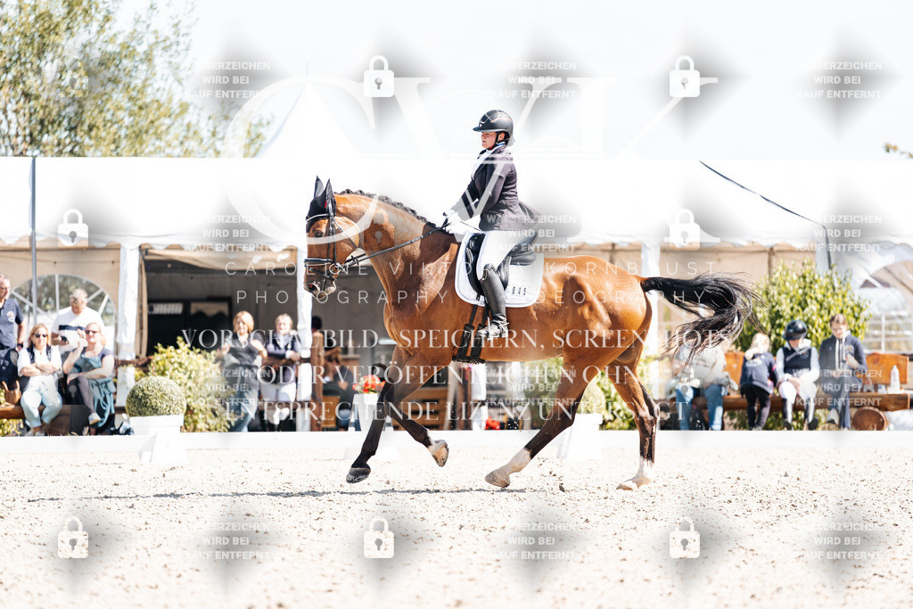 CK903217 | Turnierfotografie Pferdefotografie Trier Rheinland-Pfalz Pferdesport Reitsport Tierfotografie Sportfotografie Pferdevideo Pferdevideografie Equestrianvideography equestrianphotography  - Realisiert mit Pictrs.com