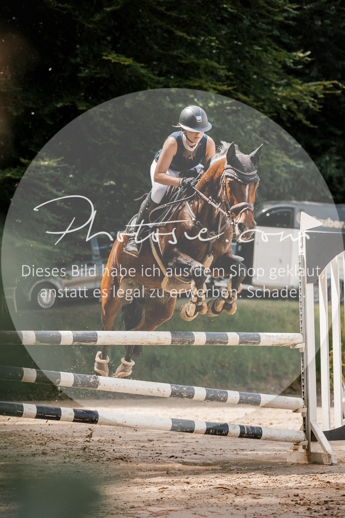 3I6A7895 | Stimmungsvolle Portraits und Reitsportfotografie im Ruhrgebiet und im Münsterland.

Pferdefotografie, Hundefotografie, Tierfotografie, Reportagen, Portraits von Tier und Mensch, Turnierfotografie in Bochum, Recklinghausen, Marl, Haltern am See, Dülmen.. - Realisiert mit Pictrs.com
