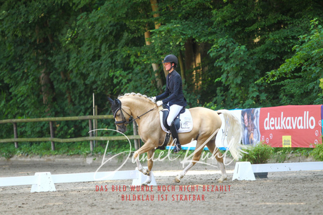 DKP42486 | Turniersportfotografie; Pferdefotografie; Dressurfotografie