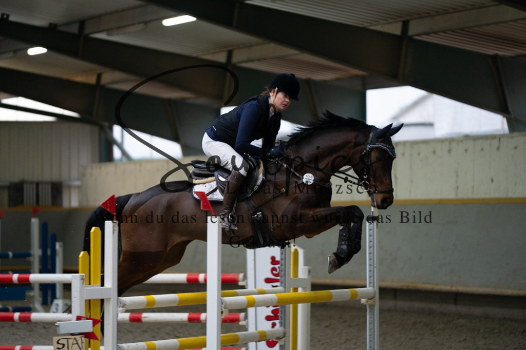 A7V08866 | Pferdefotograf