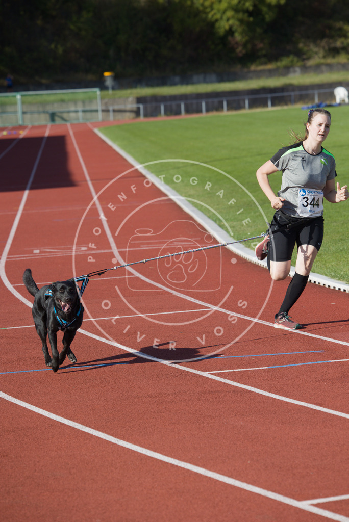 0L8A9277 | Hundefotografie, Tierfotograf, Pfotenfotografie, Fotoshooting Hund, Hunde Portrait, Hundesport, Hundeportraits, Heideshooting, Hunde, Sportfotograf, Hundefotograf, Turnierhundsport, THS,  - Realisiert mit Pictrs.com