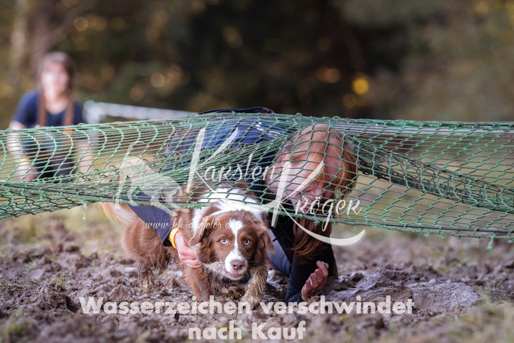 1056_ZZ93290 | kk-dogfotos