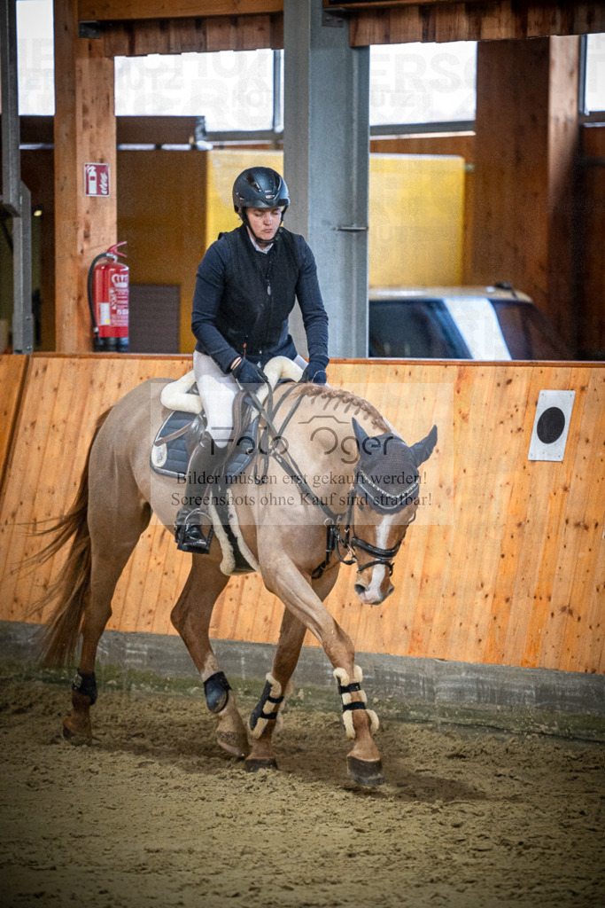 DOS_1086 | Entdecke hochwertige Reitturnierfotos von Foto Oger. Professionell, emotional und authentisch – jetzt Lieblingsmomente im Shop bestellen.Deutschlandweite Turnierfotografie. - Realisiert mit Pictrs.com
