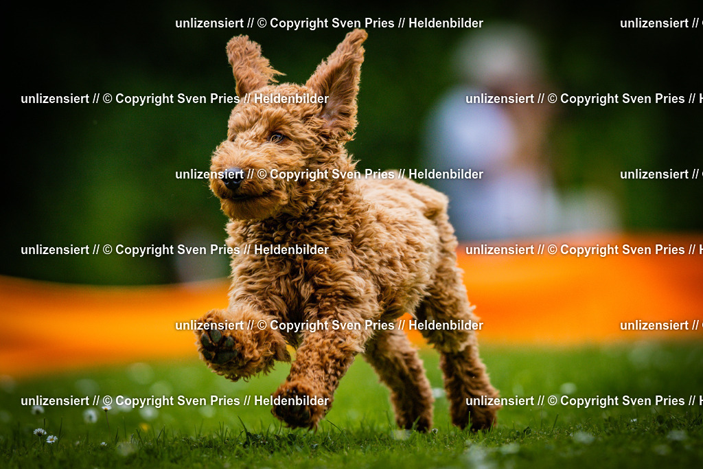 Sven Pries | 2025-05-29 - Pudelrennen KA-Durlach - Realisiert mit Pictrs.com