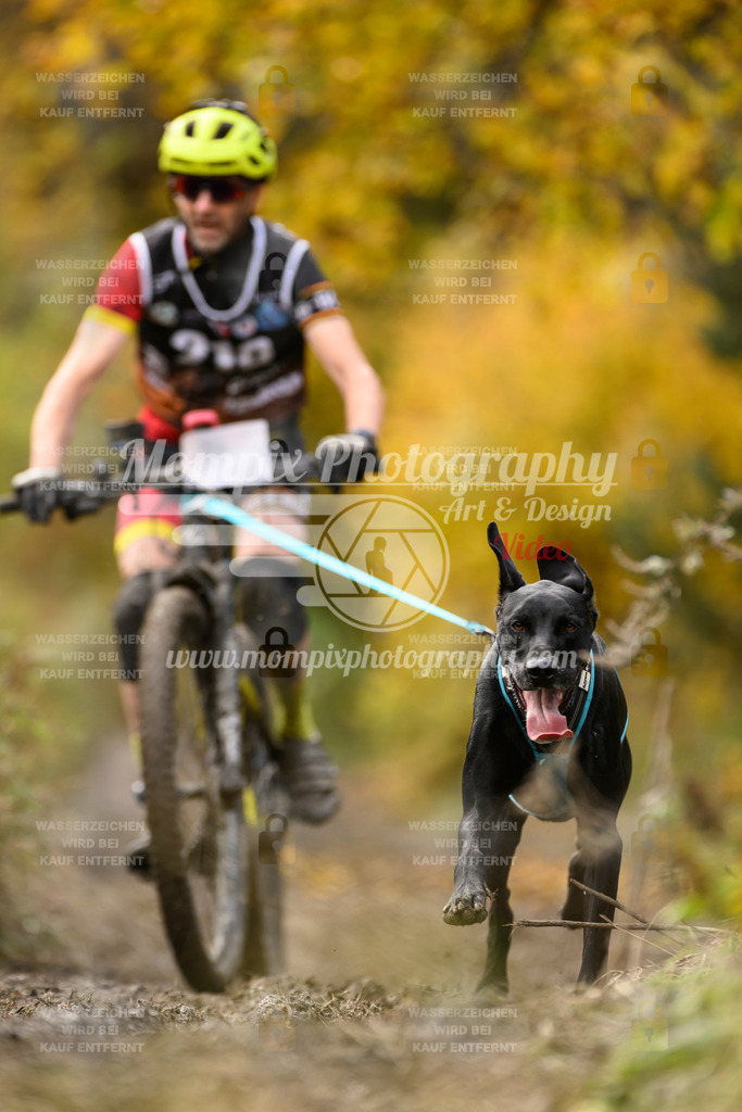 MompixPhotography_ICF_WC_2024_SA_Bike_-363 | PayLife