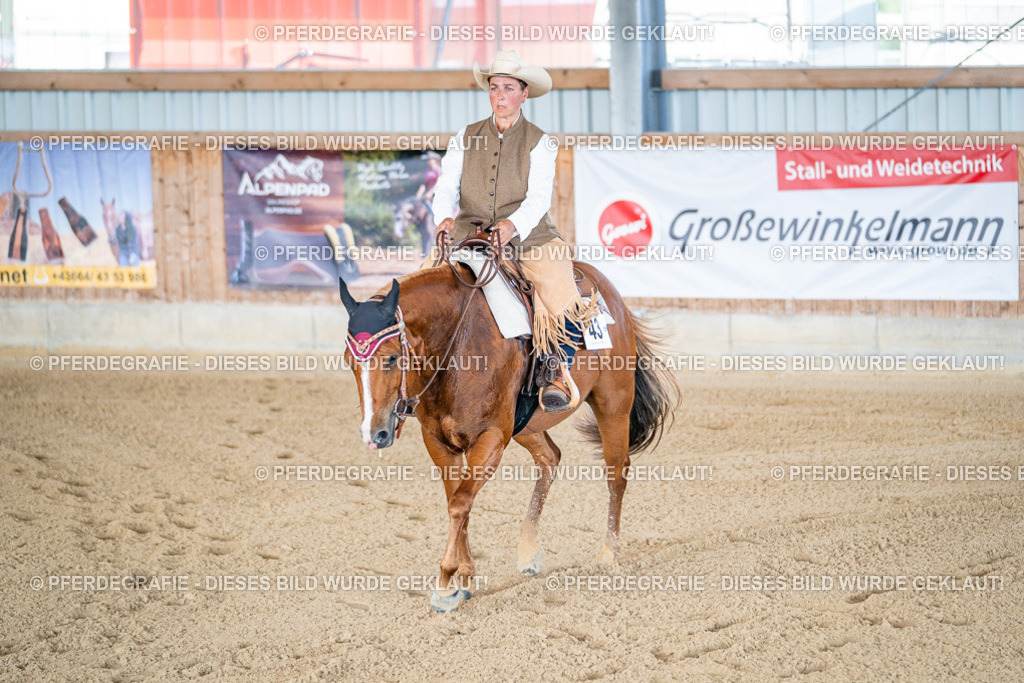 DSC01689 | Pferdegrafie