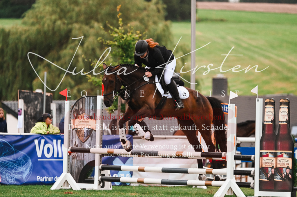 DSC_6517 | Pferde- und Turnierfotografie in Westsachsen. Pferdeportraits, Auftragszeichnungen und intuitive Kunst.