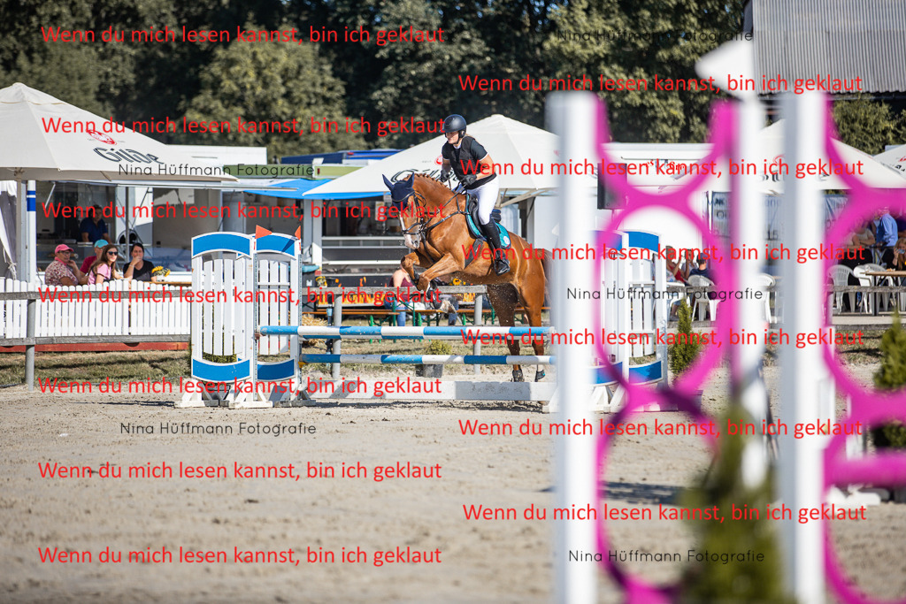BK1A7196 | Turnierbilder Turnierfotos Nina Hüffmann Turnierfotografie Pferdefotografie Tierzeichnung Haustierzeichnung Pferdezeichnung Hundezeichnung Videograf  - Realisiert mit Pictrs.com