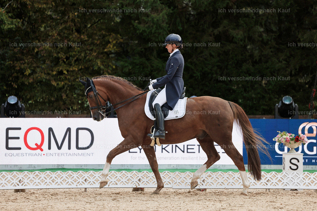 8_2-195-DRESSUR S_  -StoibPH-4522 | working equitationturnier fotograf videograf stoibphotography marixx film working equitation deutschland reitsport turnierfotografie eventfotografie equestrian events