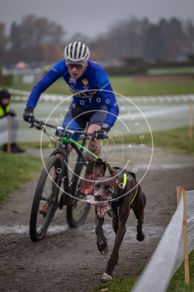 CaniXpix_0L8A1051 | Hundefotografie, Tierfotograf, Pfotenfotografie, Fotoshooting Hund, Hunde Portrait, Hundesport, Hundeportraits, Heideshooting, Hunde, Sportfotograf, Hundefotograf, Turnierhundsport, THS,  - Realisiert mit Pictrs.com