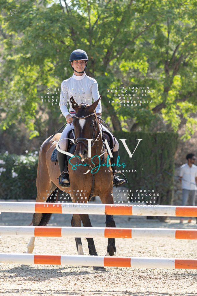 IMG_5327 | s-jay-photography - Realisiert mit Pictrs.com