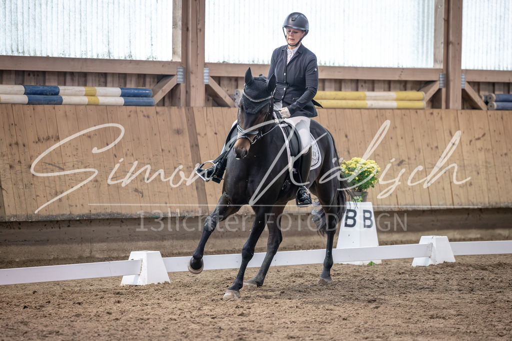 20251011-_3LI1761 | Tierfotografie Pferde, Hunde, Katzen, Haustiere.
Turnierfotografie Reitturniere, Reiten, Springreiten, Dressur in Hanau, dem Main-Kinzig-Kreis und dem Rhein-Main- Gebiet um Frankfurt