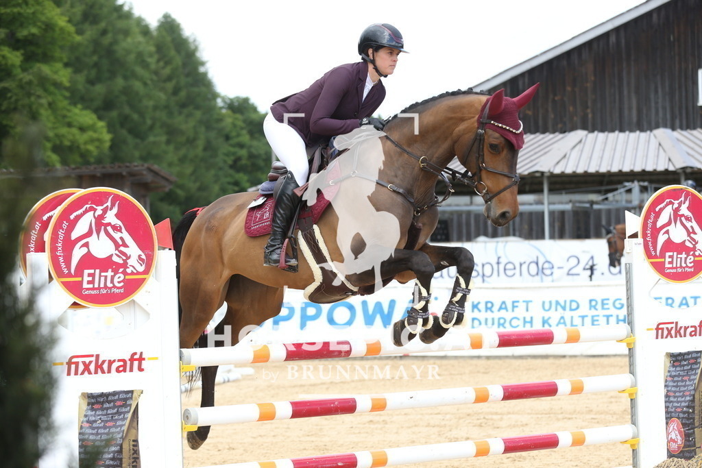 DL2Q1506 | Willkommen bei Brunnmayr - Design & Fotografie – Ihrem Spezialisten für Reitturniere und Pferdeveranstaltungen in Oberösterreich, Salzburg und Bayern! Seit über 17 Jahren sind wir leidenschaftlich dabei.